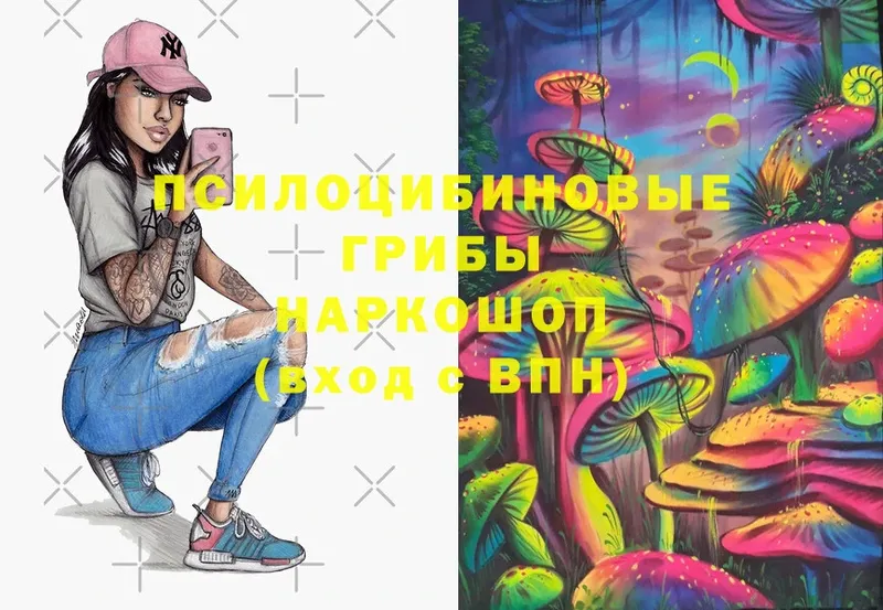 OMG ССЫЛКА  Железноводск  Псилоцибиновые грибы Cubensis 